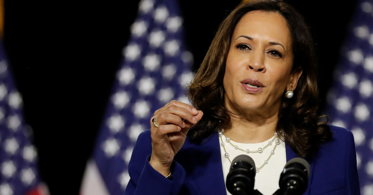 Will Kamala Harris’ wealth tax work? | The Common Sense Network